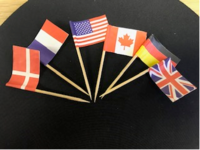 8090 Asst. International Flags